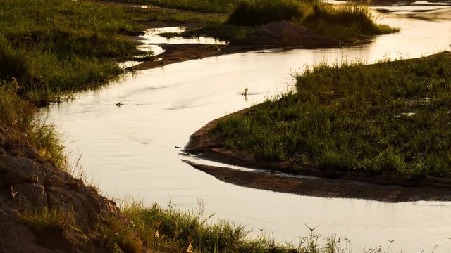 A static close-up shot of a river stream at sunrise with flowing water bursting with life as the first light lit up the landscape. 