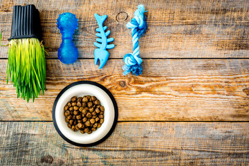 Toys for cat near dry food and grass in pot on wooden background top view copyspace