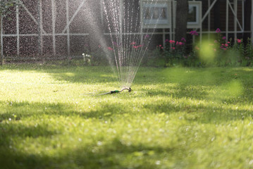 Watering backyard green grass lawn with sprinkler