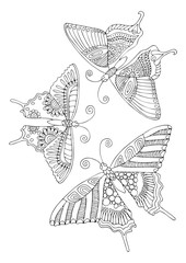 Three fantastic decorative butterflies. Hand drawn picture. Sketch for anti-stress adult coloring book in zen-tangle style. Vector illustration  for coloring page.