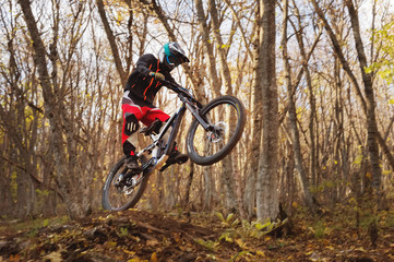 a young rider at the wheel of his mountain bike makes a trick in jumping on the springboard of the downhill mountain path in the autumn forest