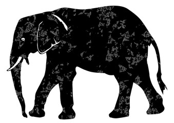 Elephant grunge vector eps 10 eps 10