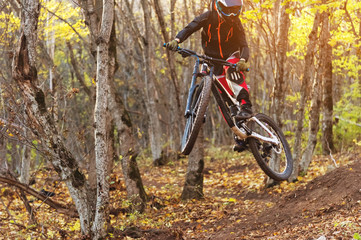 Naklejka na ściany i meble a young rider at the wheel of his mountain bike makes a trick in jumping on the springboard of the downhill mountain path in the autumn forest