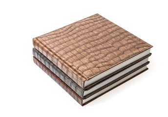 The books in brown leather cover
