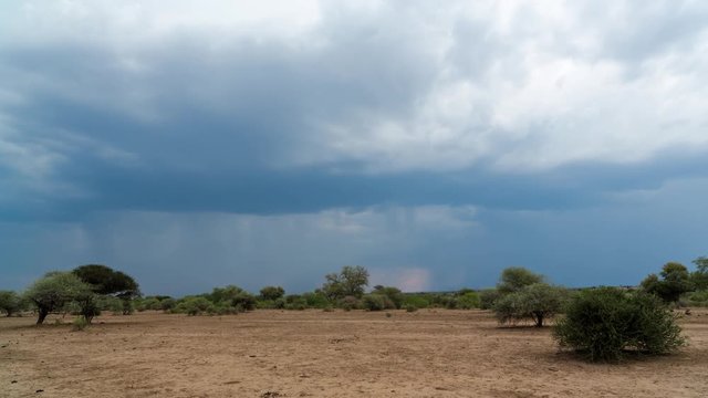 A static timelapse of a dry, barren landscape (bushveld area) in a game reserve while a thunderstorm with heavy rain and lightning is approaching, guinea fowl scatter past. 