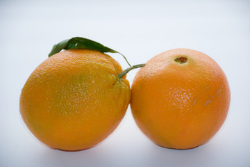 Two orange background white