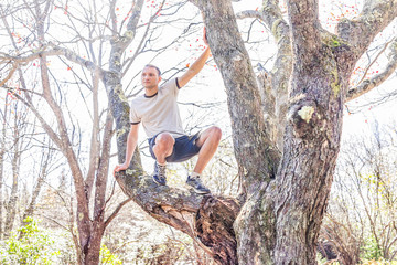 Young fit athletic happy man climbing a tree on autumn hike in shorts in forest