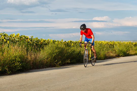 A cyclist rides on a road bike along fields of sunflowers.