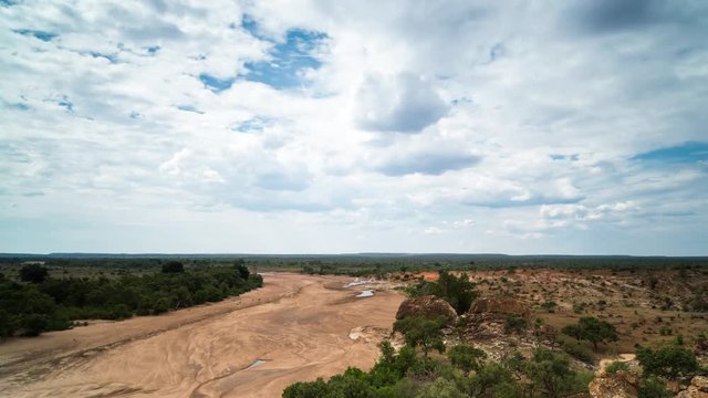 A slow tilt-up timelapse of a dry Motloutse River in Mashatu Game Reserve, Botswana at the start of summer with stormy clouds building up late afternoon. 