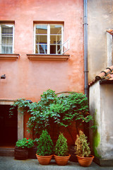 Fototapeta na wymiar Fragment of pastel pink house decorated with green potted plants. Street details in old centre of Warsaw.