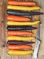 Colorful vegetables. Organic colored yellow, red, orange and purple carrots on a wooden Board. Rustic style