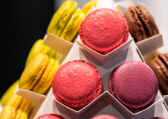 Macaroons at Chocolate Exhibition , 