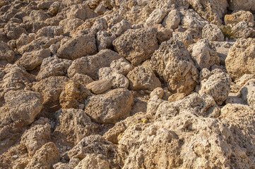 Rough yellow sea shore coast nature surface texture