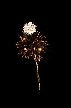 firework for background,Fireworks light up the sky,New Year celebration