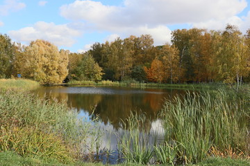 Autumn nature in the city