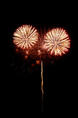 firework for background,Fireworks light up the sky,New Year celebration