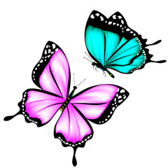 beautiful pink,blue butterflies, isolated  on a white