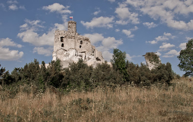 on the Jurassic trail © amadeusz