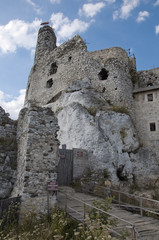 on the Jurassic trail © amadeusz