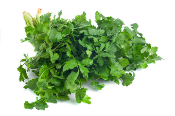 parsley and coriander bunch tied with ribbon isolated on white background