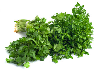 parsley and coriander bunch tied with ribbon isolated on white background