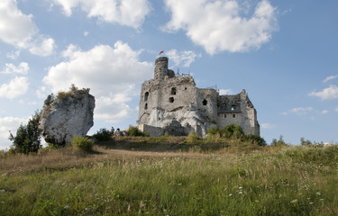 on the Jurassic trail © amadeusz