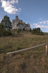 on the Jurassic trail © amadeusz