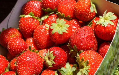 Fresh Strawberry Background in the basket of the market