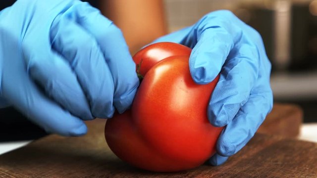 Young woman removes peduncle from red tomato on table in kitchen of apartment. Skilful female puts ripe glossy vegetable on flat wooden board and take away neatly dry part with hands in blue gloves
