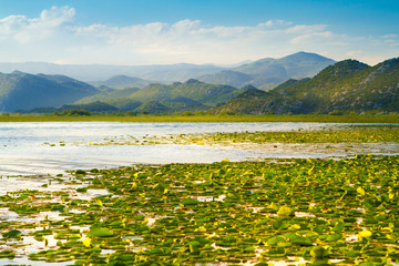 Lake Skadar national park on Montenegro
