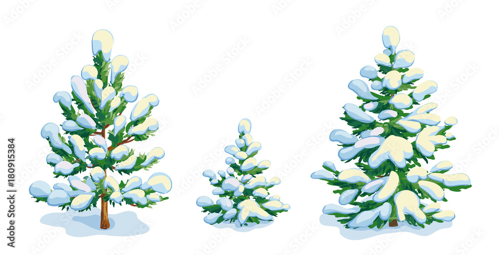 Canvas Prints little snow-covered pine tree and two fir trees. vector dwawing