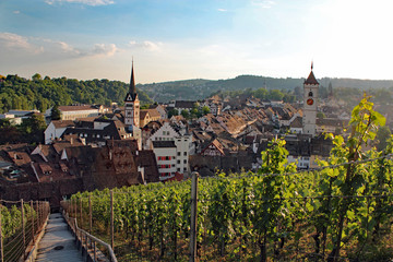 Altstadt von Schaffhausen mit Weinberg