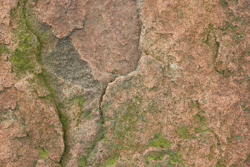 Abstract granite background, texture from another planet, Martian surface, stone background for designer, brown pattern of extraterrestrial life, granite, texture from the future, minimalism