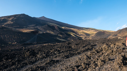 SICILY, CATANIA, MOUNT ETNA, active volcano of Sicily, still erupting, with its iron colors and lunar environment, still gives chanche to some flowers to grow.