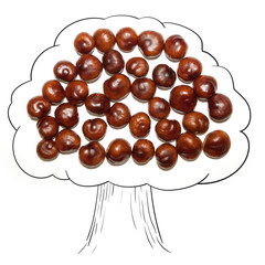 Horse chestnut isolated on white background with cute doodle hand drawn elements. Abstract cartoon tree. Top view. Creative modern composition.
