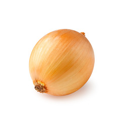 One yellow onion isolated on white background
