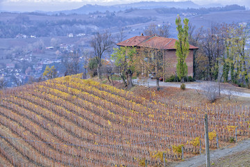 Langhe farm and vineyards. Color image