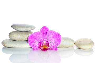White stones and a flower of a pink orchid on a white background