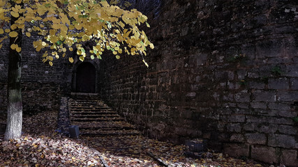 castle in Ioannina Greece autum season yellow red fallen leaves