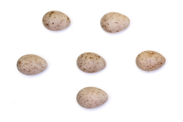 Fototapeta na wymiar Acrocephalus dumetorum. The eggs of the Blyth's Reed Warbler in front of white background, isolated.