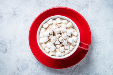 Cup of hot chocolate with marshmallow.