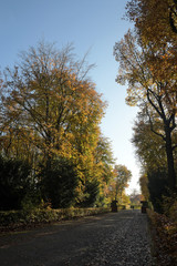 volkspark jungfernheide