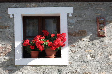 window with flowers from a rural Alps house - Aosta Valley Italy