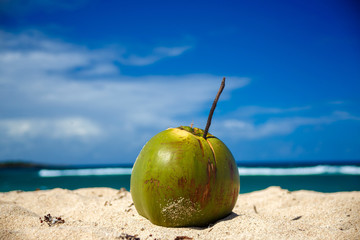 ripe coconut on sandy beach