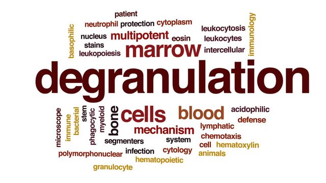 Degranulation animated word cloud, text design animation.