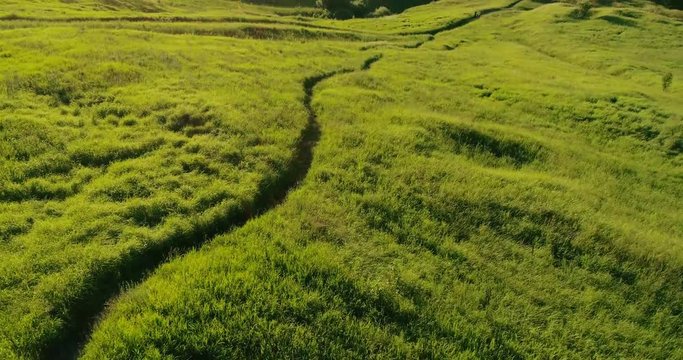 Journey through the Golden Ring. rone flying under juicy grass green and meadows. Spring nature in Russia. Konstantinovo village.