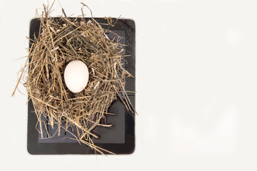 The bird twisted the nest on the computer, on the tablet. We will save the earth..The concept of environmental protection. Copy space. Mockup.