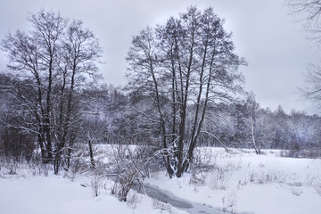 Fototapeta na wymiar Beautiful winter landscape. Toned.