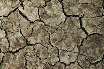 crack ground closeup