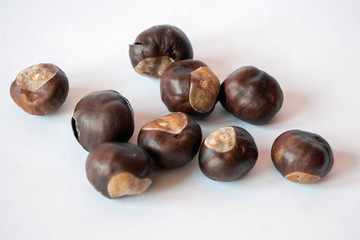 Fresh chestnuts on white background